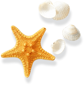 ballbet贝博BB棋牌