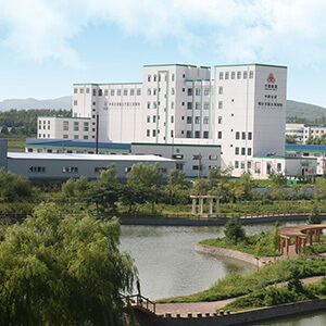 ballbet贝博BB棋牌介绍